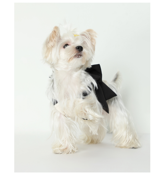 Blusa Tanque Beige con Moño de Seda Negra para Mascotas - Image 5