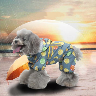 Impermeable Reflectante para Perros Cuatro Patas - Diseño Universal Todo Clima