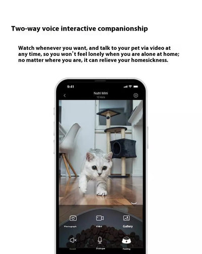Comedero Automático Programable para Perros y Gatos - Image 12