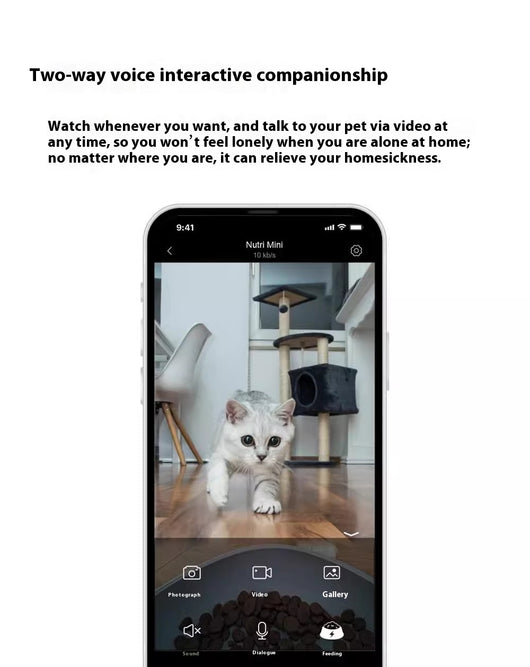 Comedero Automático Programable para Perros y Gatos - Image 12