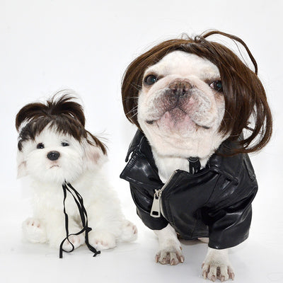 Peluca Decorativa para Mascotas Pretty Pet