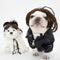 Peluca Decorativa para Mascotas Pretty Pet
