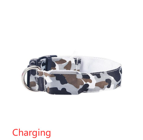 Collar Luminoso Camuflaje para Perros - Seguridad Nocturna - Image 22