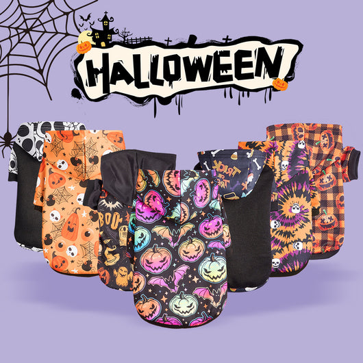 Disfraz de Calabaza Halloween para Perros y Gatos Pequeños y Medianos - Image 6