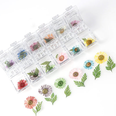 Set de 12 Cajas de Joyas con Flores Secas Naturales - Image 13