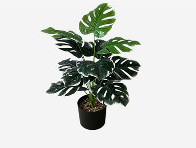 Planta Artificial Decorativa Tortuga - 12-24 Cabezas Verdes para Pared y Jardín - Image 30