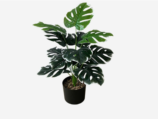 Planta Artificial Decorativa Tortuga - 12-24 Cabezas Verdes para Pared y Jardín - Image 30