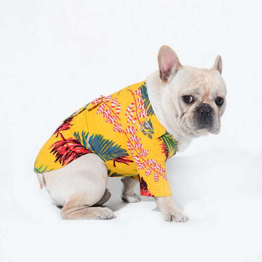 Ropa de Playa para Mascotas - Estilo Veraniego - Image 22