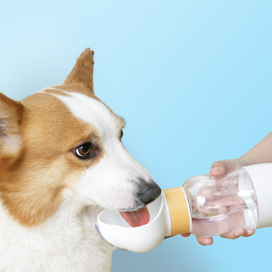 Yellow and clear portable pet water bottle with integrated drinking bowl and separate food container for walking dogs.
