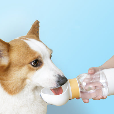 Yellow and clear portable pet water bottle with integrated drinking bowl and separate food container for walking dogs.