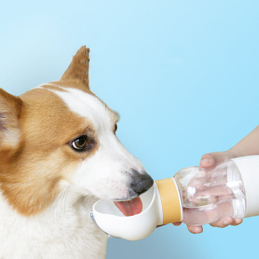 Yellow and clear portable pet water bottle with integrated drinking bowl and separate food container for walking dogs.