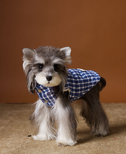 Chaleco Acolchado de Invierno para Perros - Image 19