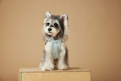 Falda Overol de Mezclilla Lavada para Perros - Image 33
