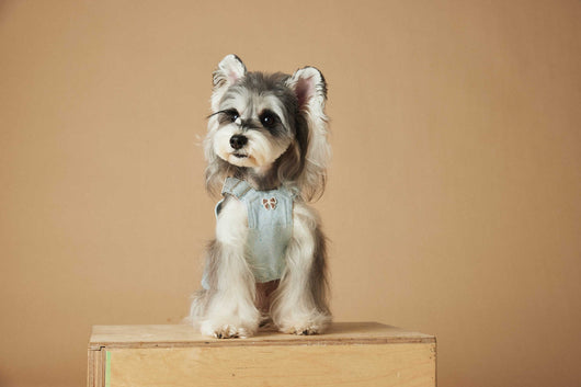 Falda Overol de Mezclilla Lavada para Perros - Image 33