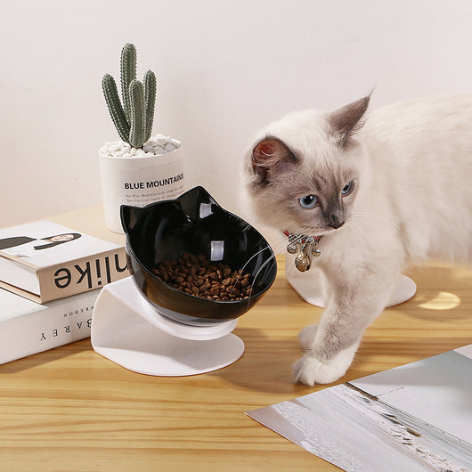 Comedero Inclinado Transparente para Gatos con Boca Oblicua - Image 29