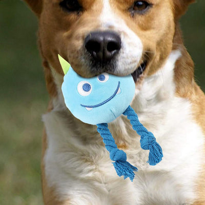Juguetes Chirriantes para Perros con Diseño de Nudo Fuerte - Juguetes de Dentición Masticables - Image 12