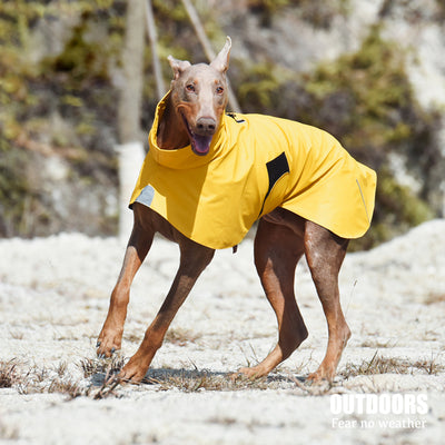 Impermeable para Perros - Chaqueta Protectora Resistente al Viento y Lluvia - Image 2