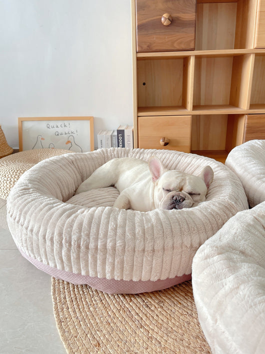 Cama Térmica Acolchada para Gatos y Perros - Image 21