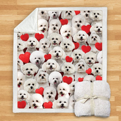 Manta Franela Estampada para Perros - Image 16