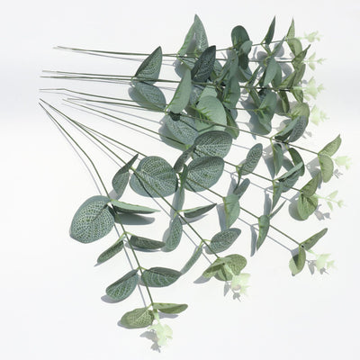 Arreglo Floral en Maceta - Planta Dinero Verde Elegante para Eventos - Image 8