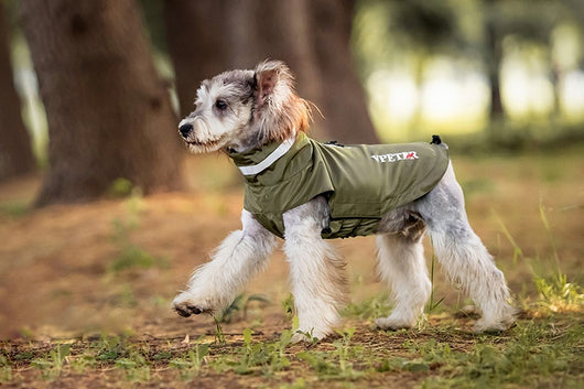 Poncho Impermeable Reflectante para Perros - Protección Total en Lluvia y Viento - Image 19
