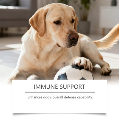 Probióticos en Gránulos Blandos para la Salud Digestiva de tu Perro - Image 3