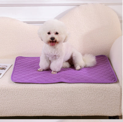 Pañal Lavable para Perros con Almohadilla Absorbente Antideslizante - Image 13