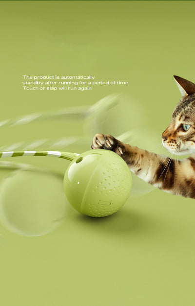 Light green interactive cat ball toy with a green and white striped flexible wand, shown with a white USB charging cable. - Image 10