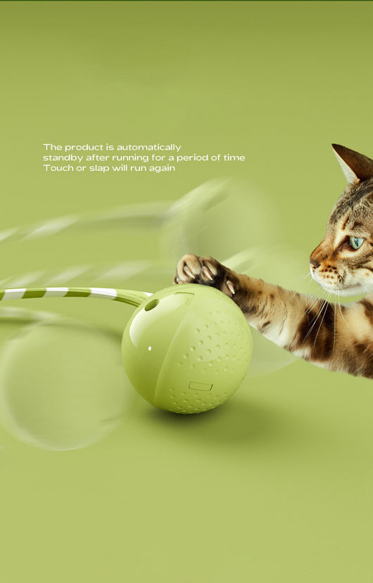 Light green interactive cat ball toy with a green and white striped flexible wand, shown with a white USB charging cable. - Image 10