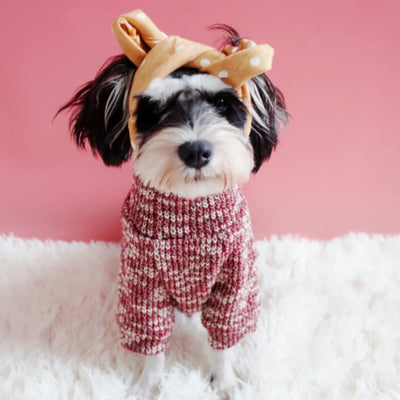 Pañuelo Térmico para Perros Pequeños - Abrigo Elegante para Invierno - Image 21