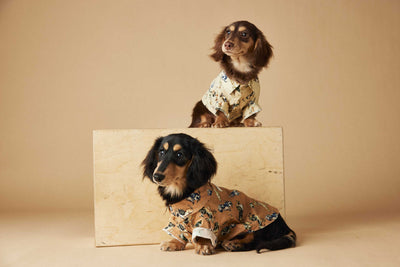 Playera Estampada con Razas de Perros - Dachshund, Schnauzer, Bichón y Maltés - Image 46