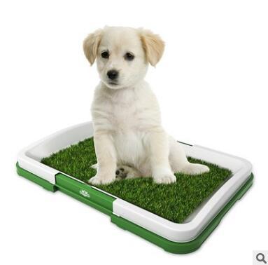 Inodoro Portátil para Perros con Césped Artificial - Image 10