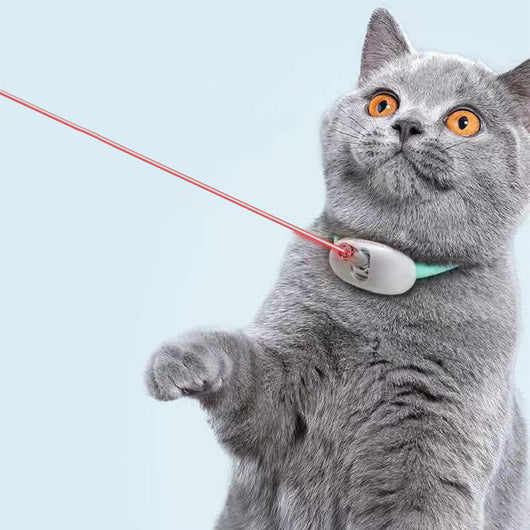 Collar Láser Interactivo Automático para Gatos con Carga USB - Image 6