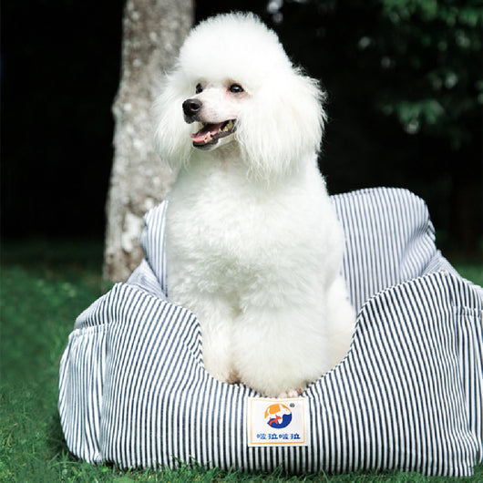 Transportín de Viaje Premium para Mascotas con Estilo - Image 10