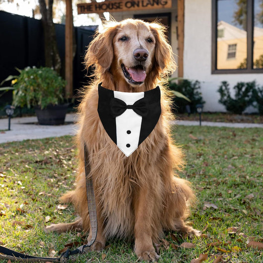 Traje de Esmoquin para Perros con Pajarita y Pañuelo - Disfraz Formal Ajustable - Image 11