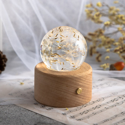 Caja de Música con Flores Preservadas y Bola de Cristal - Image 14