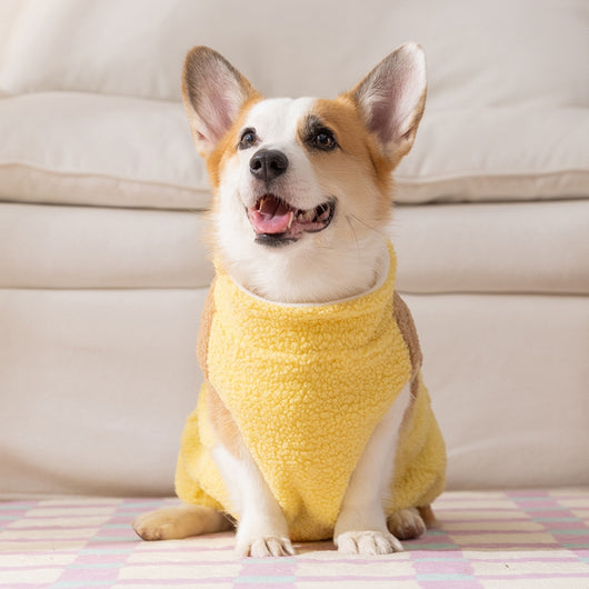 Abrigo Polar para Perros Pequeños con Osito Bordado y Bolsillos Escoceses - Image 25