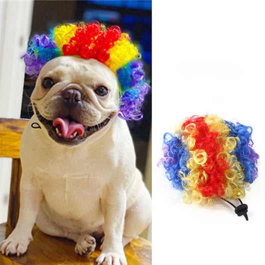 Peluca Disfraz para Mascotas - Halloween y Navidad - Image 12