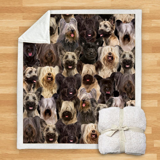 Manta de Franela Estampada para Perros de Diseño Moderno - Image 26
