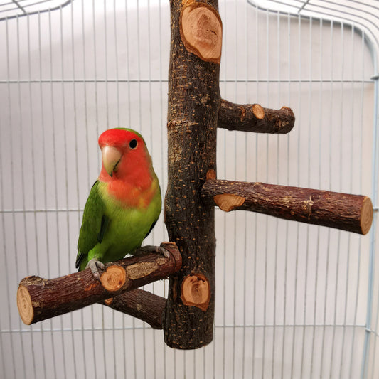 DIY bird stand kit with natural apple wood perches, including a long main perch, four smaller perches, and metal hardware.