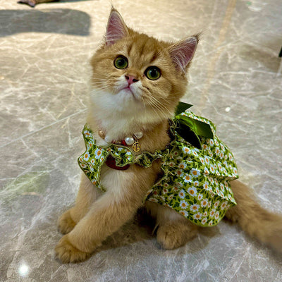 Vestido con Tirantes para Mascotas - Colección Primavera Verano - Image 3
