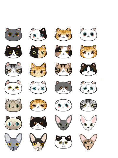 Placa de Identidad Personalizada para Gatos con Cascabel - Image 9