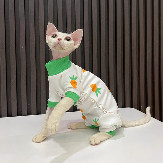 Ropa Térmica para Gatos Sin Pelo - Conjunto Completo Antiestático - Image 8
