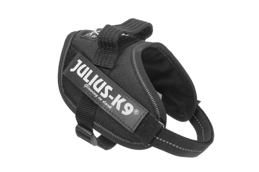 Correa de Arrastre Personalizable para Perros Medianos y Grandes - Image 2