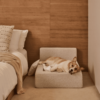 Cama Ortopédica Móvil para Perros y Gatos con Respaldo - Image 6