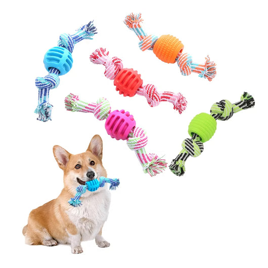 Juguete Mordedor para Perros con Cuerda Doble Nudo y Pelota Limpiadora de Dientes - Image 17