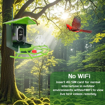 Comedero Inteligente para Aves con Cámara y Energía Solar