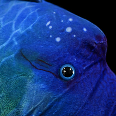 Peluche Pez Luna Realista con Labios Ondulados - Image 3