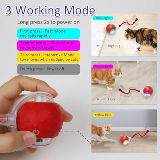 Red interactive cat toy ball with a clear outer shell, glowing blue light, and a red rope, shown with a kitten. - Image 4