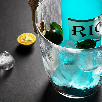 Cubo de Hielo Premium Minimalista para Bar y Hogar - Image 10